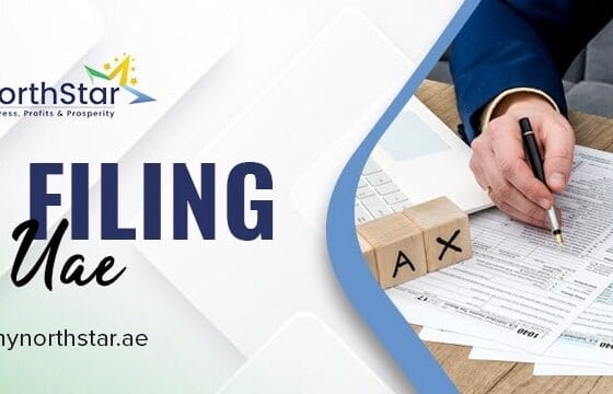 VAT Filing for Startups in the UAE: What You Need to Know