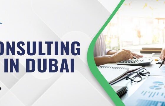 What to Expect When Working with Tax Consulting Firms in Dubai?