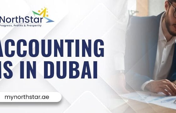 Digital Tools Like An Extra Pair of Hands – Hire Accounting firms in Dubai UAE