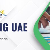 vat filing uae