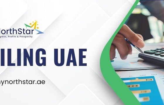 Importance of Timely VAT Filing in the UAE : How to Stay Compliant and Fine-Free