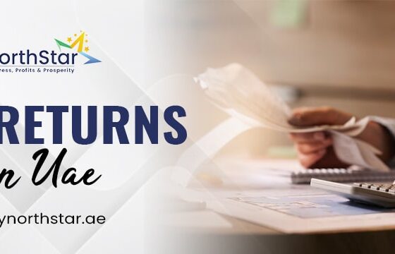 Quarterly, Monthly, or On the Spot? Here’s What You Need to Know About VAT Return Schedules in the UAE