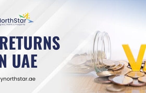 How Proper VAT Returns in The UAE can Keep You Away from Fines?