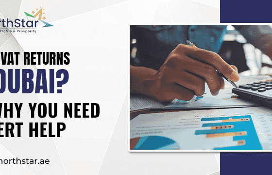 Filing VAT Returns in Dubai? Here’s Why You Need Expert Help
