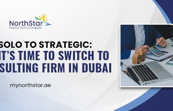 From Solo to Strategic: 10 Signs It’s Time to Switch to a Tax Consulting Firm in Dubai